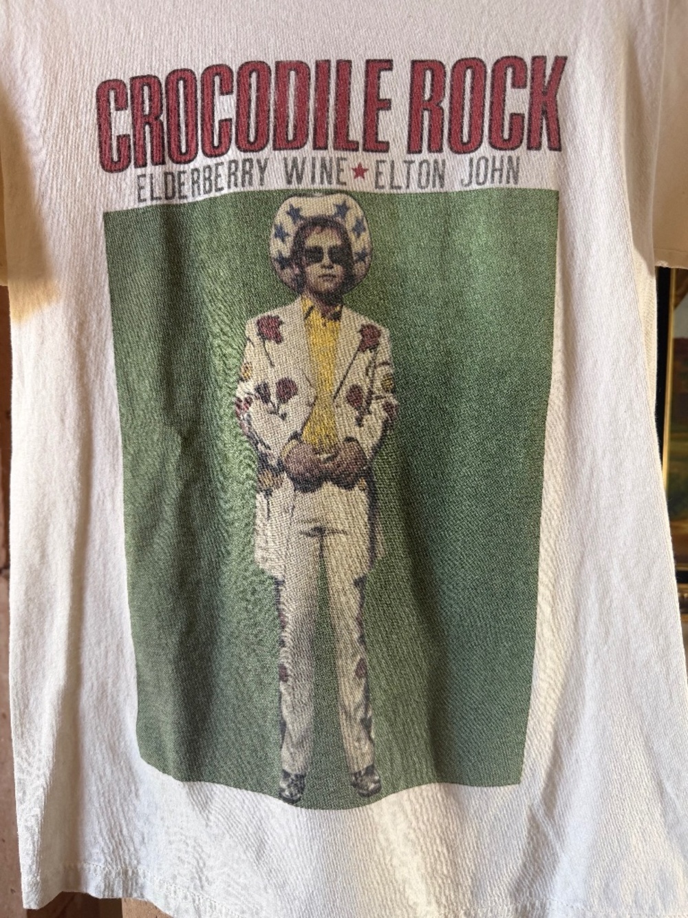 Elton John Crocodile Rock Elderberry Wine Graphic T-Shirt Mens Size Small - Picture 2 of 4